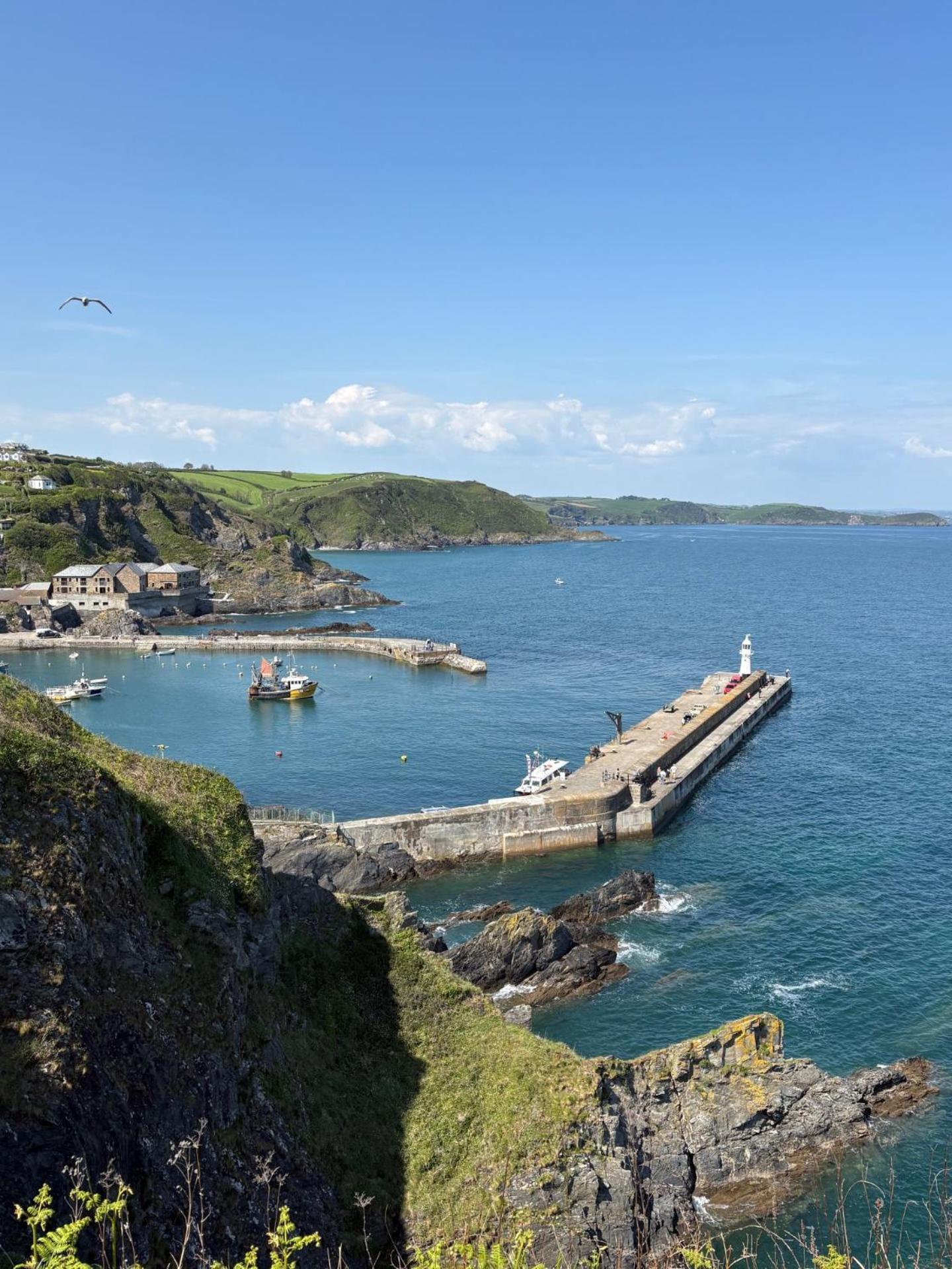 What A View Mevagissey Exterior foto