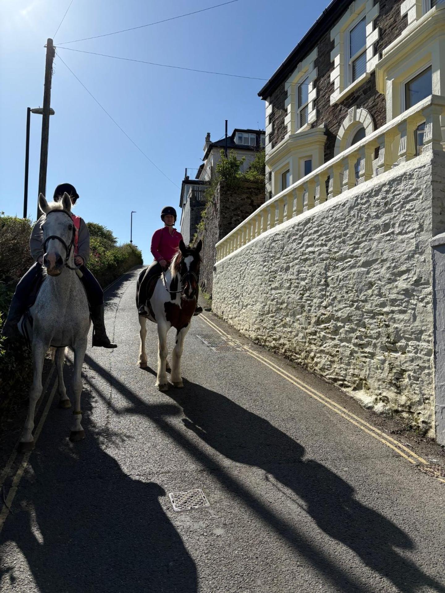 What A View Mevagissey Exterior foto